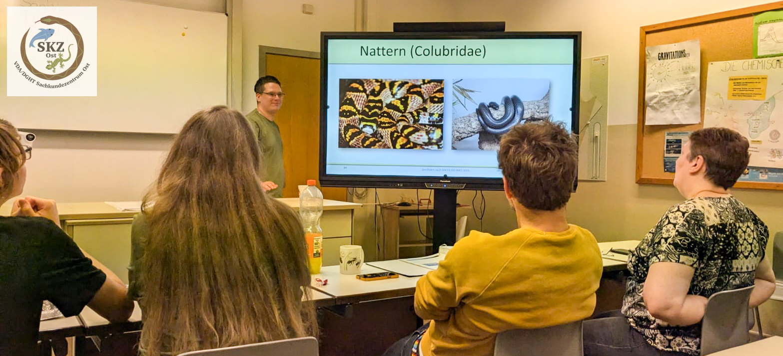 Teilnehmer/-innen hören der Präsentation zum Schulungsteil Tierkunde zu