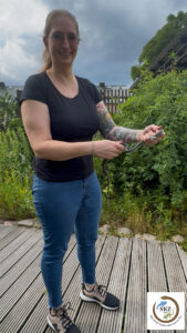 Eine Frau hält eine kleine Ringelnatter, Natrix natrix